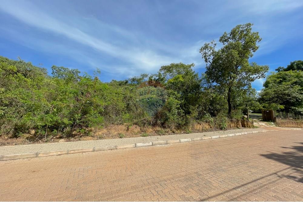 Terreno - Venda - Brasília , Distrito Federal - IMG_2479.jpg - 880161042-40