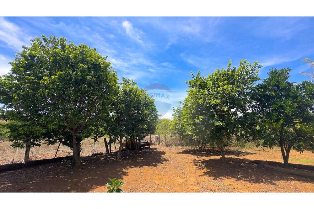 Chácara / Sítio / Fazenda - Venda - Cocalzinho de Goiás , Goiás - IMG_3366.jpg - 880341129-15