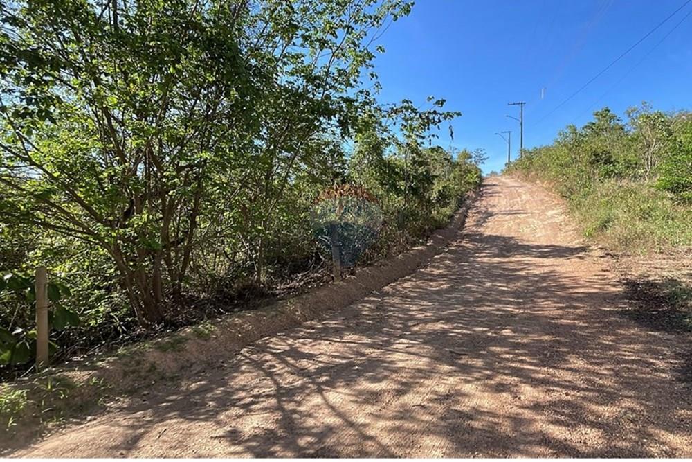 Chácara / Sítio / Fazenda - Venda - Brasília , Distrito Federal - IMG_9081.JPG - 880461009-47