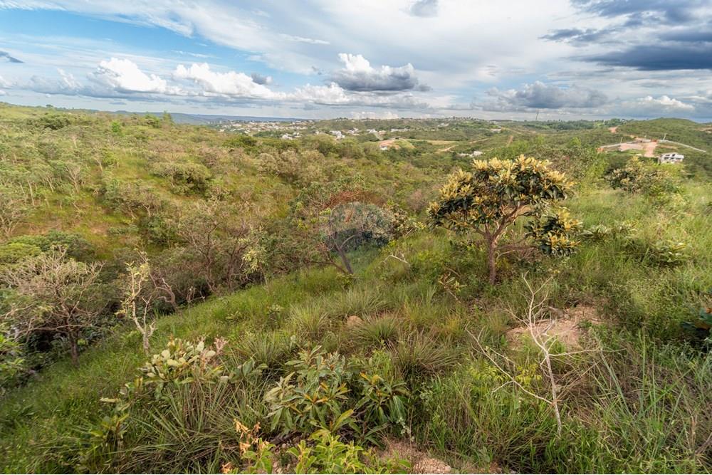 Terreno - Venda - Brasília , Distrito Federal - DSC03357-Aprimorado-NR.jpg - 880251001-39