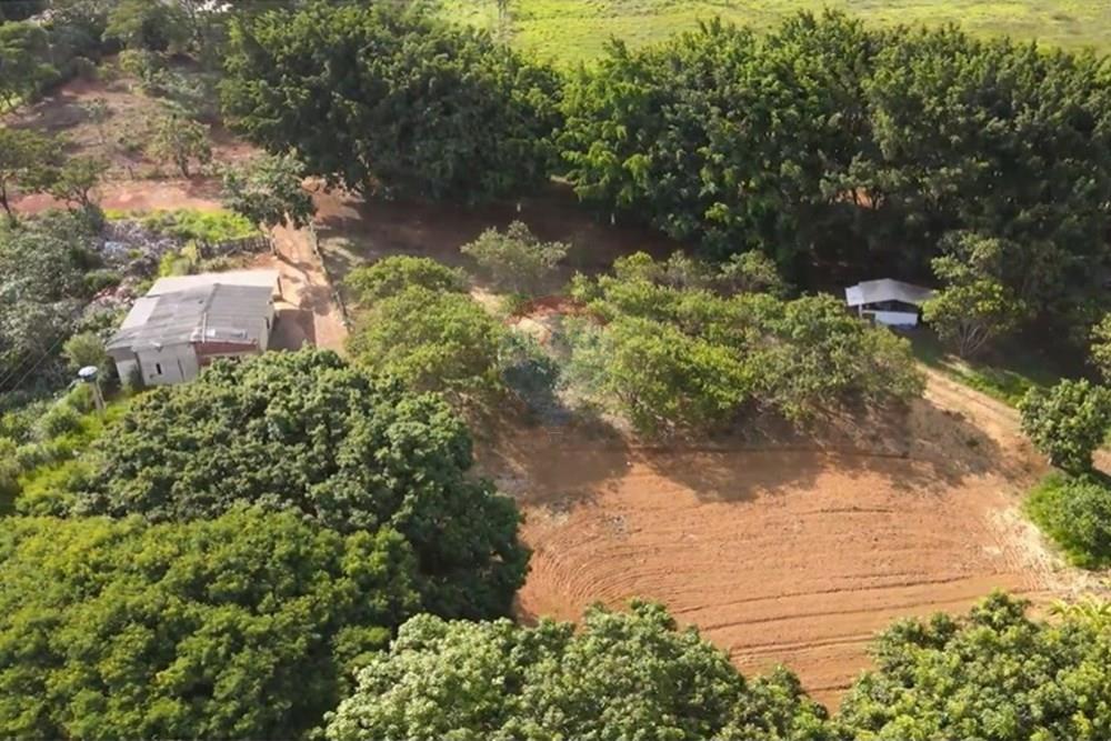 Chácara / Sítio / Fazenda - Venda - Gama , Distrito Federal - image (8).jpg - 880321005-55