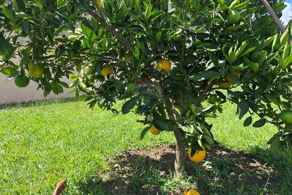 Casa - Venda - Taguatinga , Distrito Federal - IMG_3114.JPG - 880351011-84