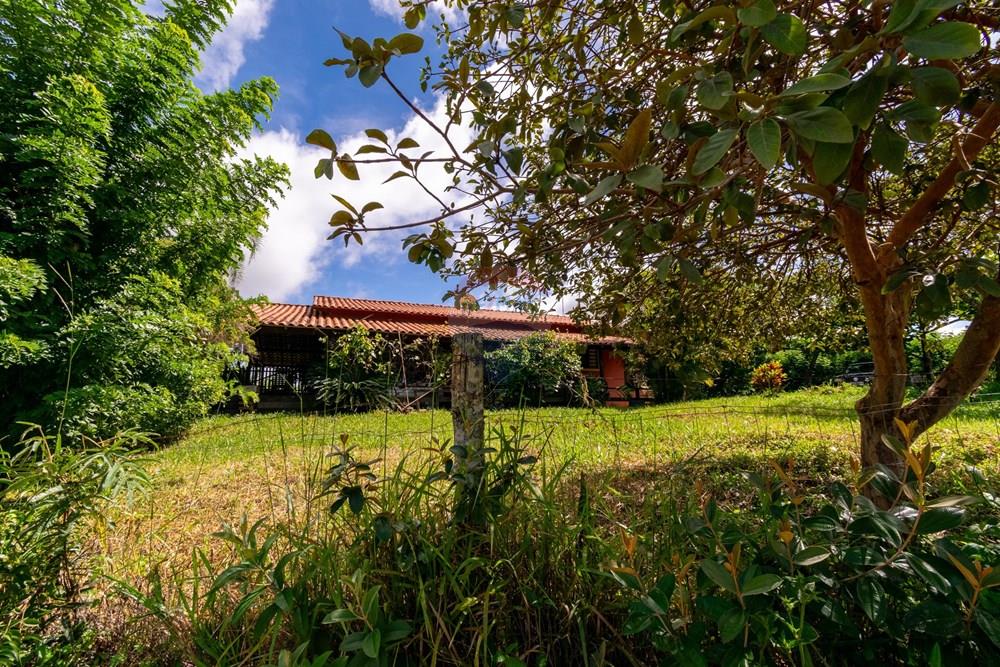 Chácara / Sítio / Fazenda - Venda - Planaltina , Distrito Federal - DSC_6647.jpg - 880341026-72