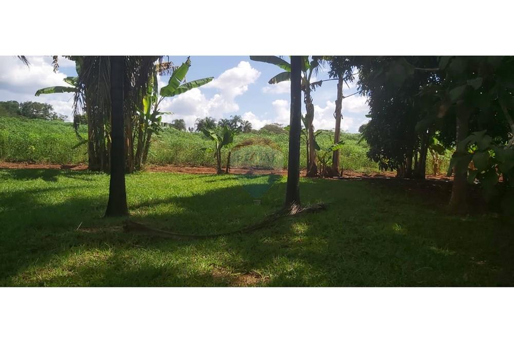 Chácara / Sítio / Fazenda - Venda - Paranoa , Distrito Federal - WhatsApp Image 2026-02-19 at 15.14.08 (3).jpeg - 880341160-4