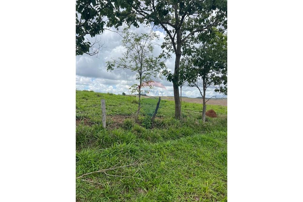 Chácara / Sítio / Fazenda - Venda - Cocalzinho de Goiás , Goiás - fazenda 5.jpeg - 880351098-3