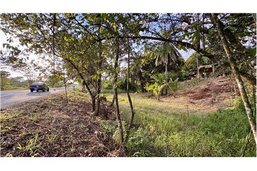 Te Koop-Grondstuk-Quepos - Manuel Antonio, Puntarenas - Quepos, Costa Rica-902181013-18