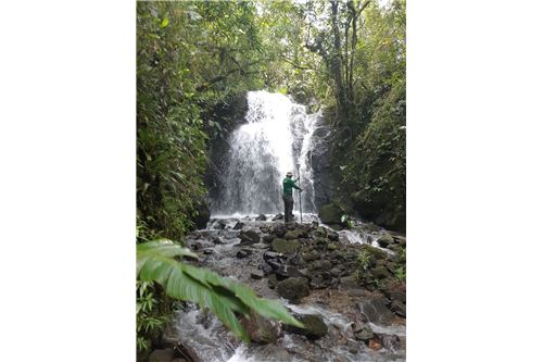 Venta-Lote-Pérez Zeledón, San José, Costa Rica-90176018-45