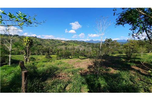 For Sale-Land-Renacimiento - Monte Lirio, Chiriquí, Panama-902371001-41