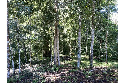 For Sale-Land-Pérez Zeledón, San Jose, Costa Rica-901601013-2
