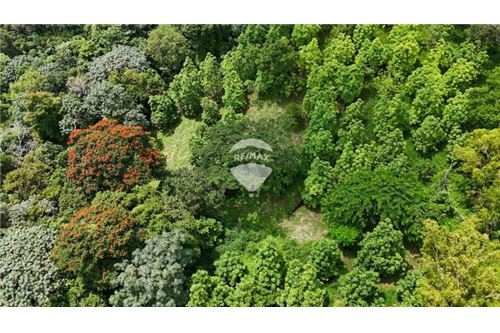 Land - For Sale - Nuevo Cuscatlán, La Libertad, El Salvador - 4 - 90100029-51