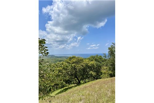 Te Koop-Grondstuk-Roatan, Bay Islands, Honduras-90143009-114