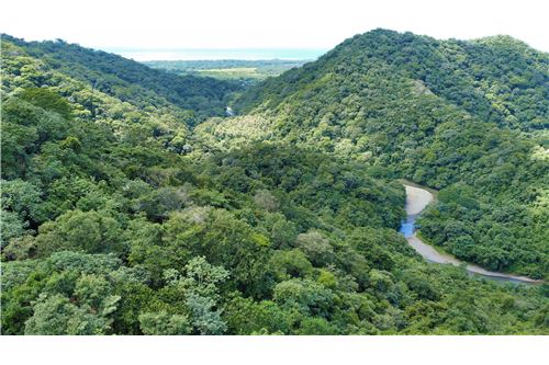 Venta-Lote-Nosara - Playa Guiones, Guanacaste - Nicoya, Costa Rica-902591008-5