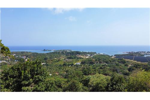 Te Koop-Grondstuk-Roatan, Bay Islands, Honduras-90143009-134