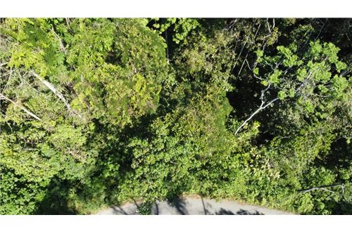 For Sale-Land-Pérez Zeledón, San Jose, Costa Rica-90176018-68