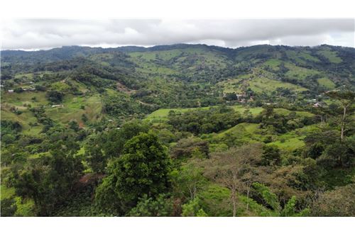 For Sale-Land-Pérez Zeledón, San Jose, Costa Rica-901601008-18