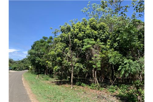 Te Koop-Grondstuk-Utila, Bay Islands, Honduras-90182002-593