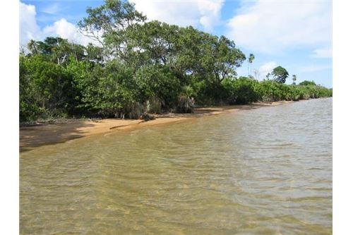 For Sale-Land-Alabama, Stann Creek District, Belize-901411017-4