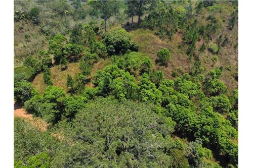 Commercial Land Santa Cruz - L 17178da367de4a7fba91d6a4f6e822b4 IList