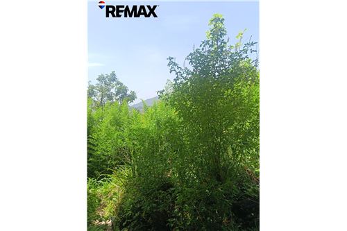 For Sale-Land-Planes de Renderos, San Salvador, El Salvador-902301019-2