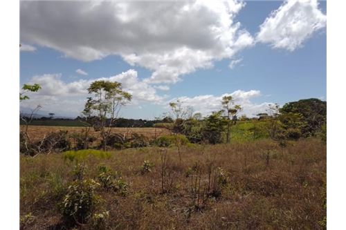 For Sale-Land-Pérez Zeledón, San Jose, Costa Rica-90176018-67
