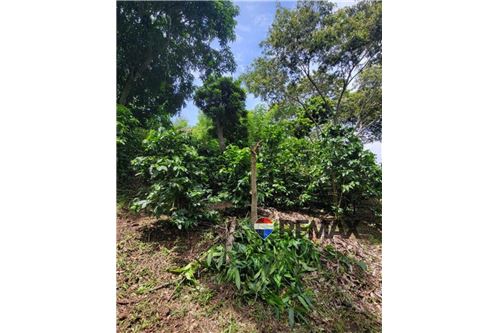 For Sale-Land-San Martin, San Salvador, El Salvador-902501008-22