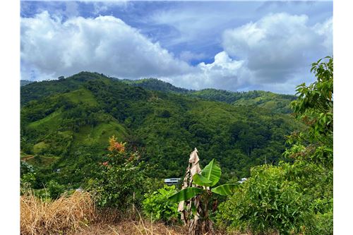 For Sale-Land-Pérez Zeledón, San Jose, Costa Rica-901601003-2