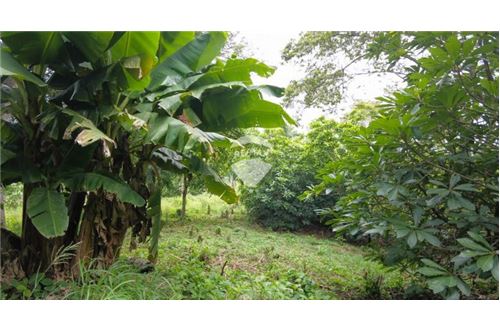 Land - For Sale - Nuevo Cuscatlán, La Libertad, El Salvador - 7 - 90100029-51