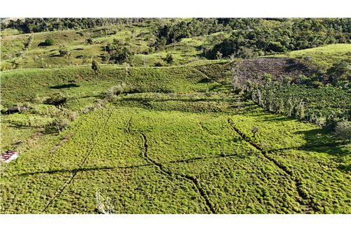 For Sale-Land-Pérez Zeledón, San Jose, Costa Rica-90176018-17
