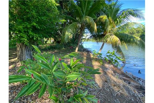 For Sale-Land-Sittee River Hopkins, Stann Creek District, Belize-90127003-288