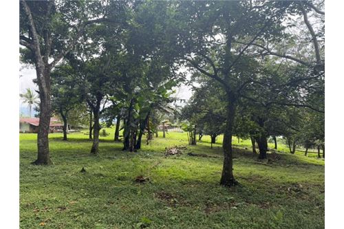 Comercial - Terreno - Atenas, Alajuela- Atenas, Costa Rica - Caribbean & Central Ameri - 21 - 90128002-994