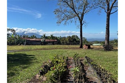 Comercial - Terreno - Atenas, Alajuela- Atenas, Costa Rica - Caribbean & Central Ameri - 4 - 90128002-994