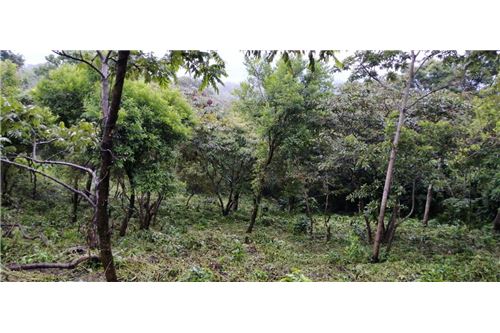 For Sale-Land-Alotenango, Sacatepéquez, Guatemala-90129001-350
