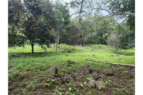 Comercial - Terreno - Atenas, Alajuela- Atenas, Costa Rica - Caribbean & Central Ameri - 17 - 90128002-994