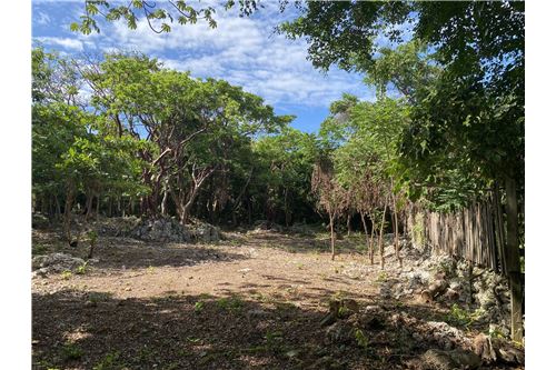 Te Koop-Grondstuk-Utila, Bay Islands, Honduras-90182002-480