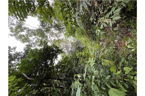 Te Koop-Grondstuk-Quepos - Manuel Antonio, Puntarenas - Quepos, Costa Rica-902181010-95