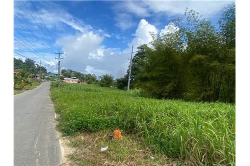 Te Koop-Grondstuk-Tabaquite, Caroni, Trinidad and Tobago-90155109-157