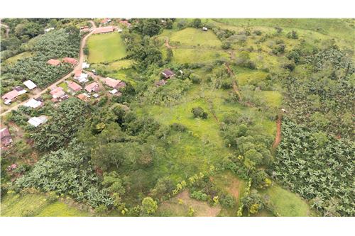 For Sale-Land-Pérez Zeledón, San Jose, Costa Rica-90176018-7