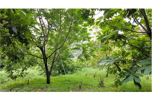 Land - For Sale - Nuevo Cuscatlán, La Libertad, El Salvador - 6 - 90100029-51