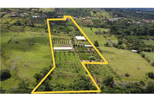For Sale-Land-Pérez Zeledón, San Jose, Costa Rica-901601006-3