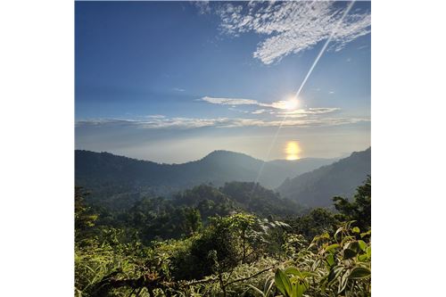 For Sale-Land-Pérez Zeledón, San Jose, Costa Rica-90176018-56