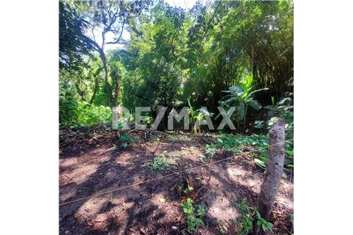 For Sale-Commercial/Retail-Planes de Renderos, San Salvador, El Salvador-901901032-29