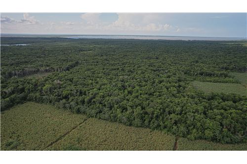 For Sale-Land-Copper Bank Copper Bank, Corozal District, Belize-902041001-67
