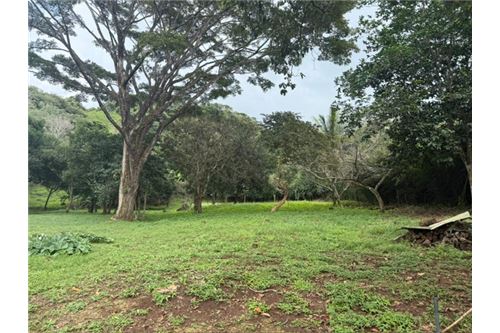 Comercial - Terreno - Atenas, Alajuela- Atenas, Costa Rica - Caribbean & Central Ameri - 18 - 90128002-994