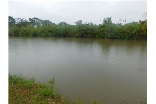 For Sale-Commercial/Retail-Mullins River, Stann Creek District, Belize-901411017-5