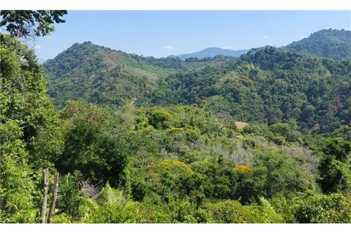Te Koop-Grondstuk-Savegre, Puntarenas - Quepos, Costa Rica-902181018-13