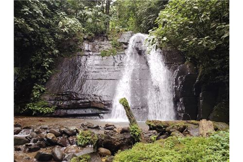 For Sale-Land-Pérez Zeledón, San Jose, Costa Rica-901601008-14