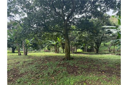 Comercial - Terreno - Atenas, Alajuela- Atenas, Costa Rica - Caribbean & Central Ameri - 14 - 90128002-994