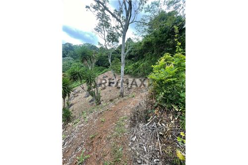 For Sale-Land-San Juan Tepezontes, La Paz, El Salvador-902271022-4