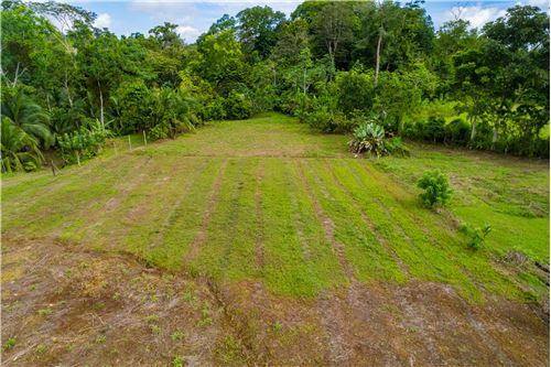 Te Koop-Grondstuk-Puntarenas, Puntarenas - Puntarenas, Costa Rica-902211009-13
