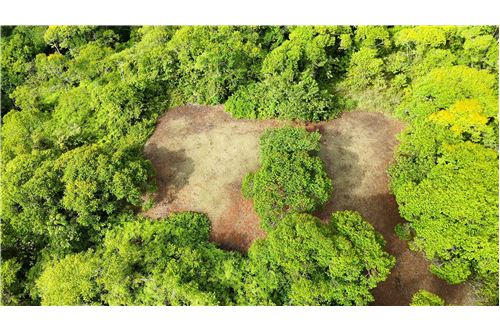 For Sale-Land-Pérez Zeledón, San Jose, Costa Rica-901601006-11